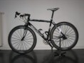 Thorax_Specialized